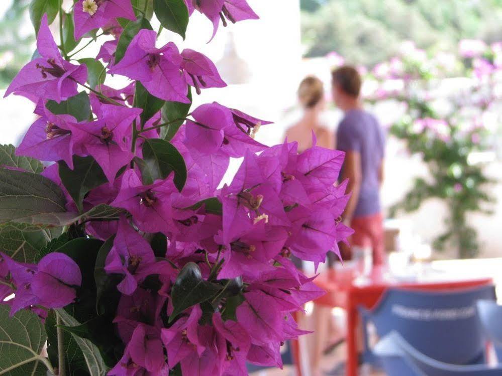 Cosmos Grand Hostal Sant Francesc de s'Estany Экстерьер фото